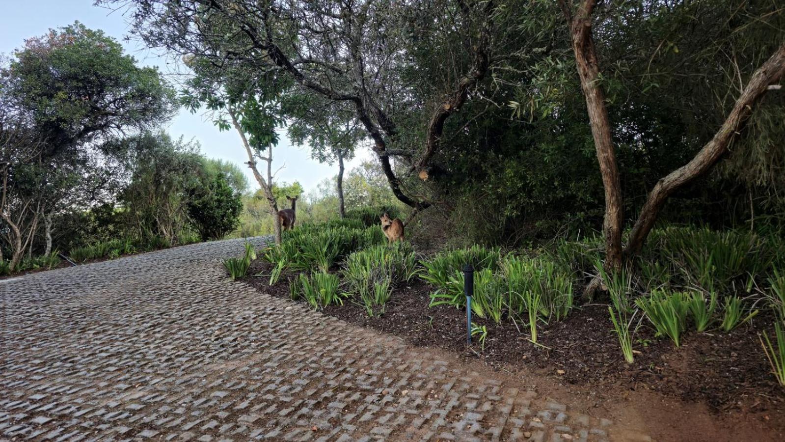 Oubaai Villa By Raw Africa Collection Teluk Herolds Bagian luar foto